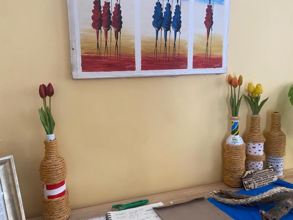 Home Feeling Kilimanjaro Moshi Zewnętrze zdjęcie