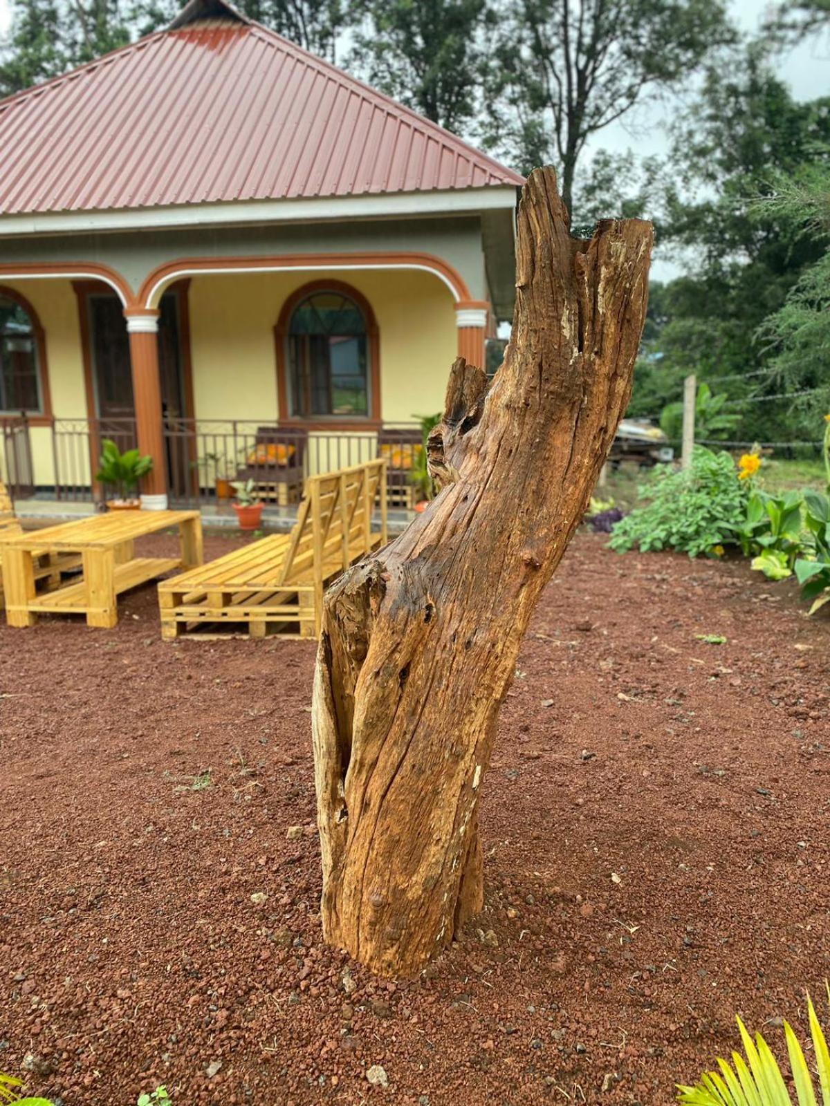 Home Feeling Kilimanjaro Moshi Zewnętrze zdjęcie